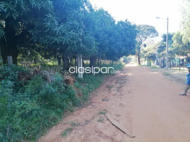 Terreno en limpio zona piquete cue - av san jose — foto 3