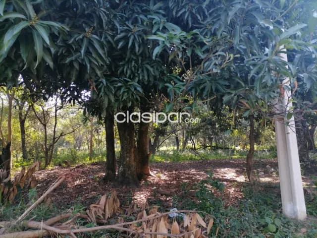 Terreno en limpio zona piquete cue - av san jose — foto 4