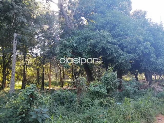 Terreno en limpio zona piquete cue - av san jose — foto 5