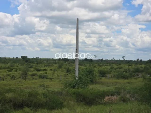 Carmelo peralta, chaco, puente: 3 propiedades en venta, 80has, 72 has, p/ desarr inmobilia, foto 4