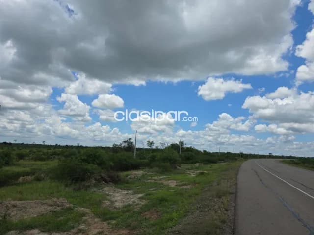 Carmelo peralta, chaco, puente: 3 propiedades en venta, 80has, 72 has, p/ desarr inmobilia, foto 5