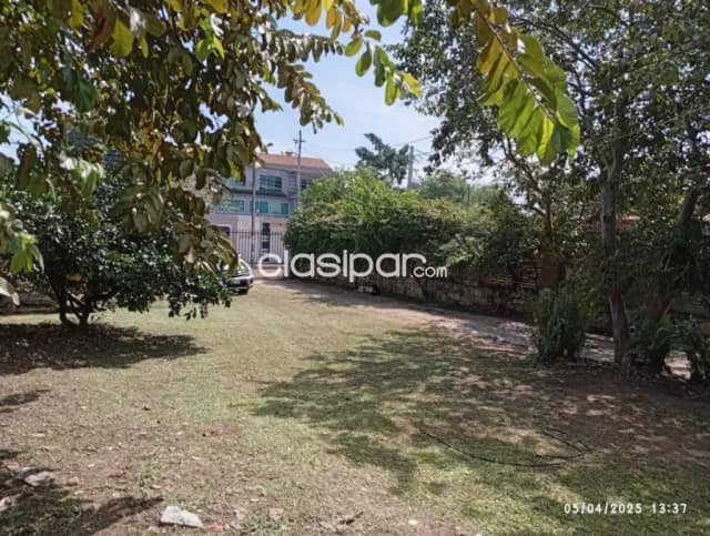 En Venta Terreno En Luque id 34533 — foto 3