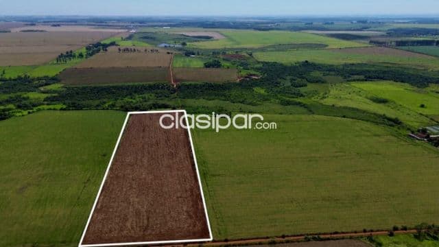 Terreno Agrícola Mecanizado en Hernandarias - 16 Ha — foto principal