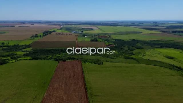 Terreno Agrícola Mecanizado en Hernandarias - 16 Ha — foto 3