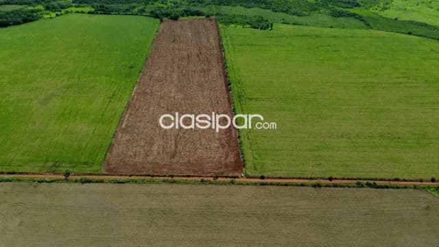 Terreno Agrícola Mecanizado en Hernandarias - 16 Ha — foto 4