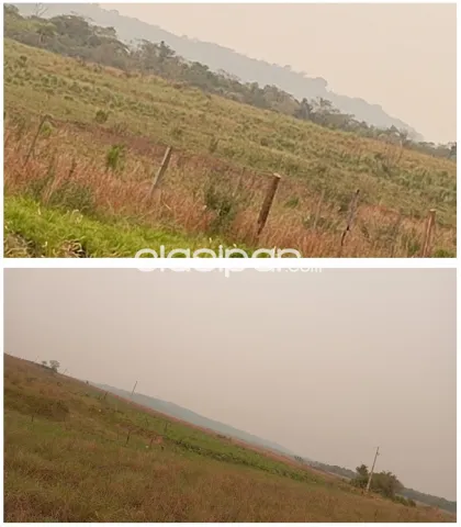 Cecilio báez, caazapá, s/ ruta: 782 + 300 hectáreas, uso múltiple, tierra negra mixta — foto 2