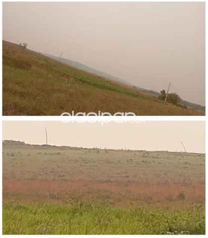 Cecilio báez, caazapá, s/ ruta: 782 + 300 hectáreas, uso múltiple, tierra negra mixta — foto 3