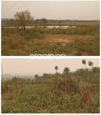 Cecilio báez, caazapá, s/ ruta: 782 + 300 hectáreas, uso múltiple, tierra negra mixta — foto 5