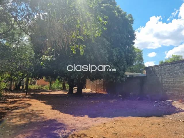 Terreno en Luque, foto 4
