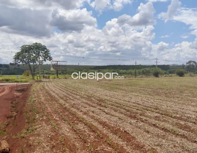 Campo Agrícola Mecanizado en Santa Fe del Paraná - 100 Ha — foto 3