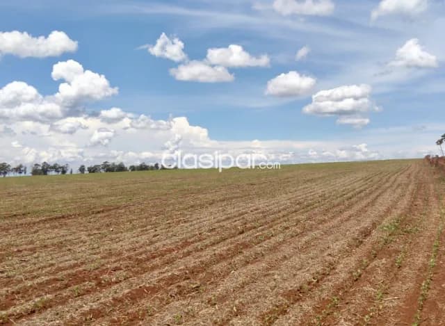 Campo Agrícola Mecanizado en Santa Fe del Paraná - 100 Ha — foto 4
