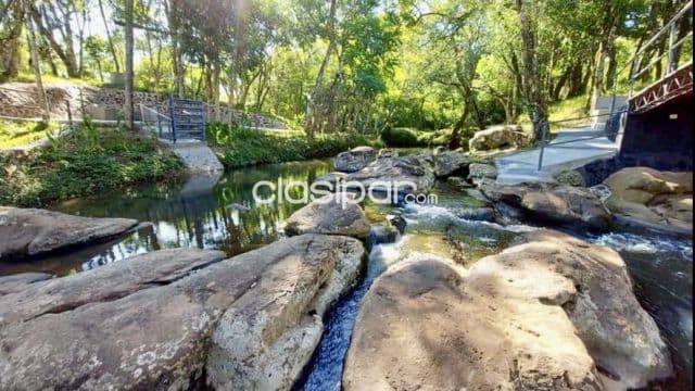 Campo Agrícola/Ganadero en Nueva Alborada - 50 Ha