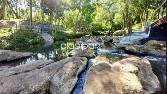 Campo Agrícola/Ganadero en Nueva Alborada - 50 Ha, foto 2