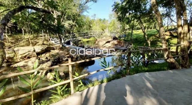 Campo Agrícola/Ganadero en Nueva Alborada - 50 Ha, foto 3
