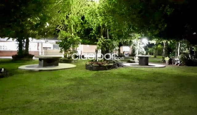 Campo Agrícola/Ganadero en Nueva Alborada - 50 Ha, foto 4