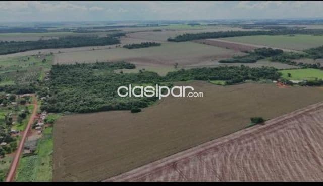Campo Agrícola Mecanizado en Minga Guazú - 30 Ha — foto 1