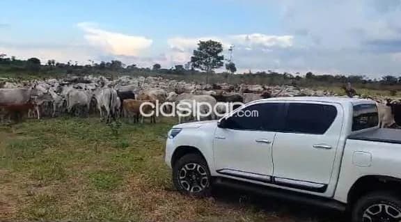 San pedro y antequera s/ ruta: 700 has formadas, instalaciones, pasturas, agro-ganadera, foto 2