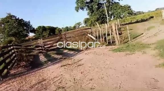 San pedro y antequera s/ ruta: 700 has formadas, instalaciones, pasturas, agro-ganadera, foto 5