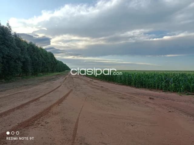 San pedro estancia de lujo! 1988 has, con altas mejoras, mecanizadas, pasturas, infraestr, foto 2