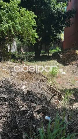 Terreno en Barrio Los Laureles – ¡Ubicación exclusiva!, foto 5