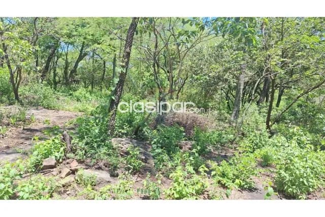 Amplio terreno de 5 lotes (total 1932m2) en esq a pasos del asfalto c/vista al lago — foto 4