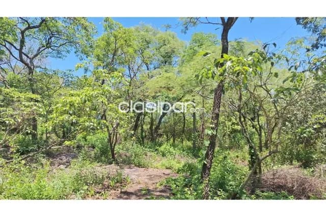 Amplio terreno de 5 lotes (total 1932m2) en esq a pasos del asfalto c/vista al lago — foto 5