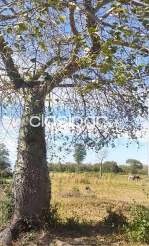 En venta imponente propiedad de 5562 has. Apta para la ganadería id: 34210