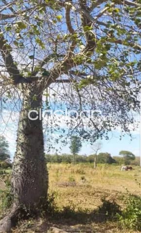 En venta imponente propiedad de 5562 has. Apta para la ganadería id: 34210, foto 2