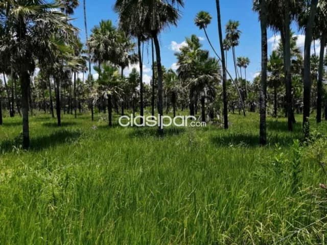 En venta imponente propiedad de 5562 has. Apta para la ganadería id: 34210, foto 5