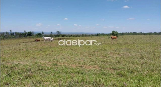Campo de 270 Hectáreas en Paraguarí, Distrito de Quiindy - CLCS6960059
