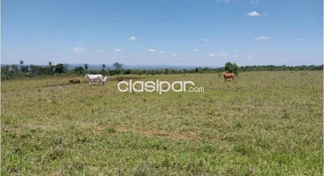 Campo de 270 Hectáreas en Paraguarí, Distrito de Quiindy - CLCS6960059, foto 2