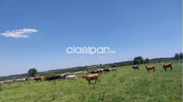 Campo de 270 Hectáreas en Paraguarí, Distrito de Quiindy - CLCS6960059, foto 5