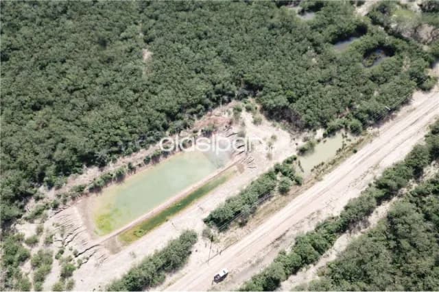 En venta campo de 184.5 has en tte esteban martinez, foto 2