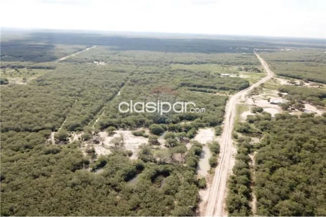 En venta campo de 184.5 has en tte esteban martinez, foto 3