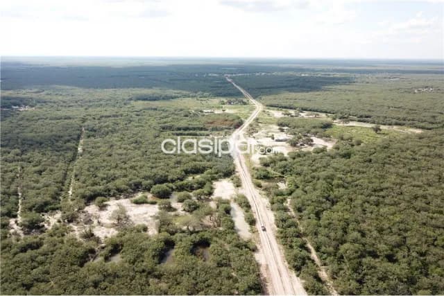 En venta campo de 184.5 has en tte esteban martinez, foto 5