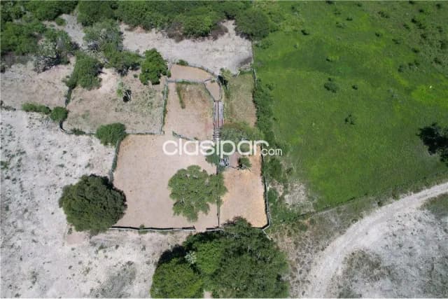 Campo para actividad ganadera en gral. Jose bruguez — foto 2