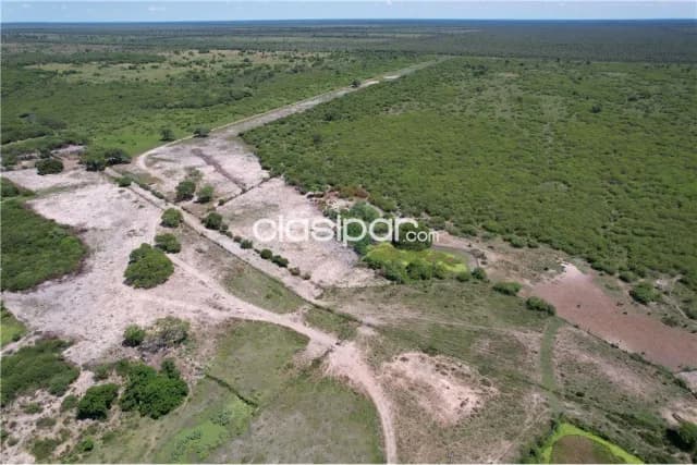 Campo para actividad ganadera en gral. Jose bruguez — foto 3