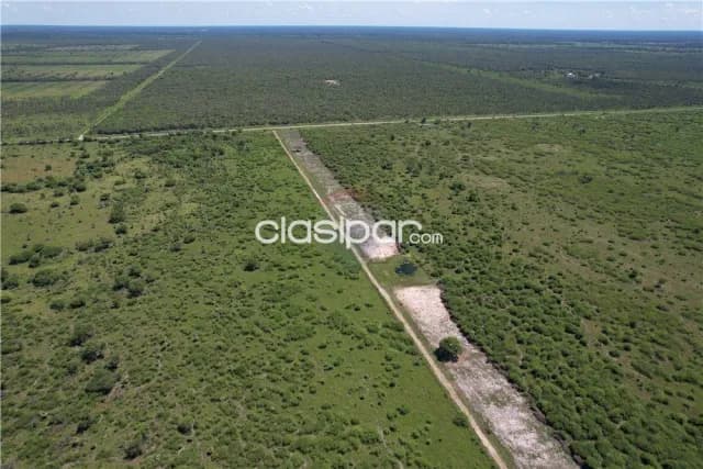Campo para actividad ganadera en gral. Jose bruguez — foto 4