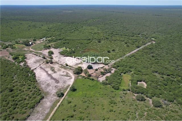 Campo para actividad ganadera en gral. Jose bruguez — foto 5