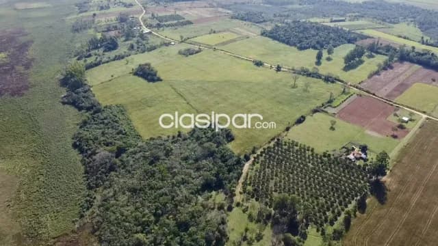 Campo Agricola/Ganadero Mecanizado en San Pedro del Paraná - 232 Ha — foto 2