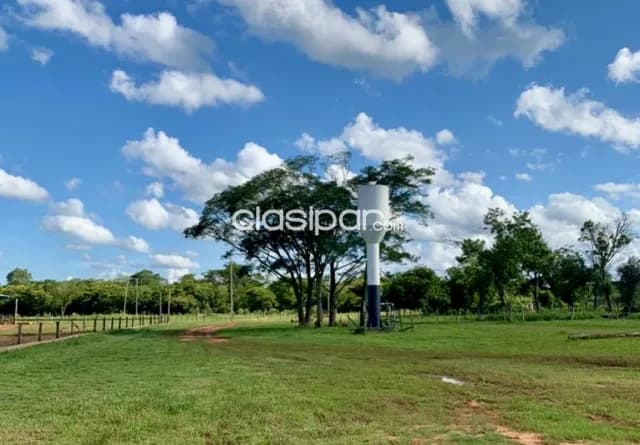 Campo Agricola/Ganadero Mecanizado en San Pedro del Paraná - 232 Ha — foto 3
