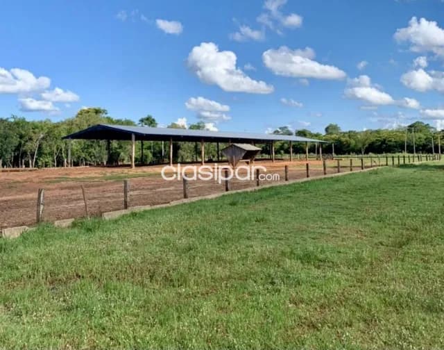Campo Agricola/Ganadero Mecanizado en San Pedro del Paraná - 232 Ha — foto 4