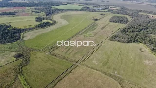 Campo Agricola/Ganadero Mecanizado en San Pedro del Paraná - 232 Ha — foto 5