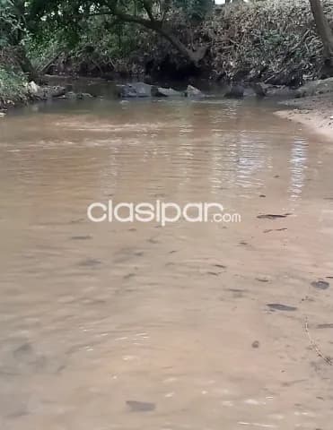 Casa de campo en nueva colombia - cia. Boqueron — foto 4