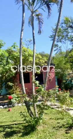 Casa de campo en nueva colombia - cia. Boqueron — foto 3