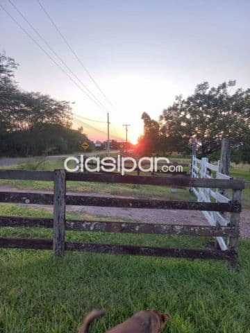 Cecilio báez, caaguazú, s/ ruta: 200 has altamente agro-ganadera, infraestructura completa, foto 1