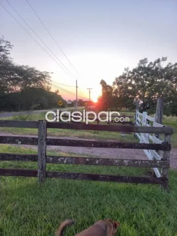 Cecilio báez, caaguazú, s/ ruta: 200 has altamente agro-ganadera, infraestructura completa, foto 2