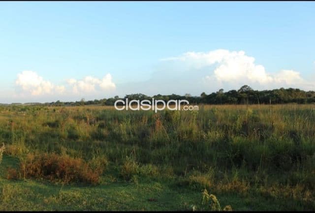 Repatriación, caaguazú: 180 has, 50% mecanizada, alta producción en vigencia, 25.000.000 g