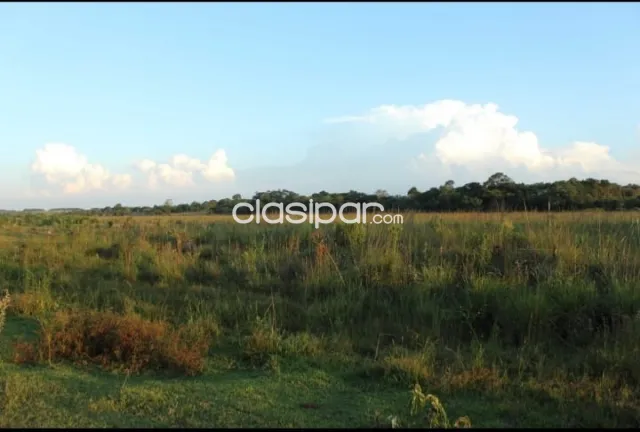 Repatriación, caaguazú: 180 has, 50% mecanizada, alta producción en vigencia, 25.000.000 g — foto 2
