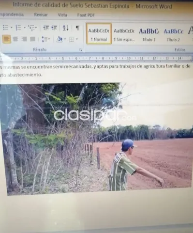 Repatriación, caaguazú: 180 has, 50% mecanizada, alta producción en vigencia, 25.000.000 g — foto 4